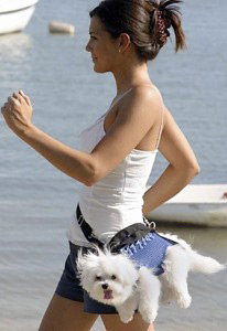 lady walking with dog - exercise